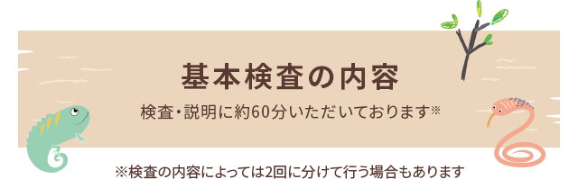 基本検査の内容