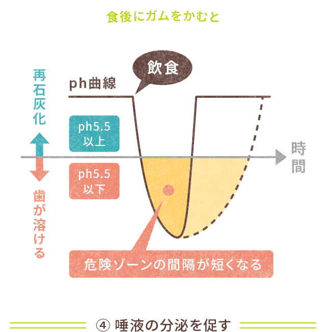 食後にガムをかむと