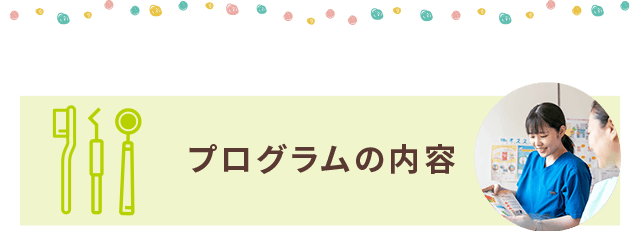 プログラムの内容