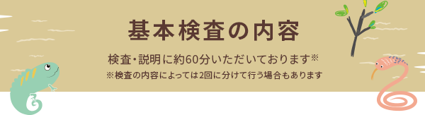 基本検査の内容